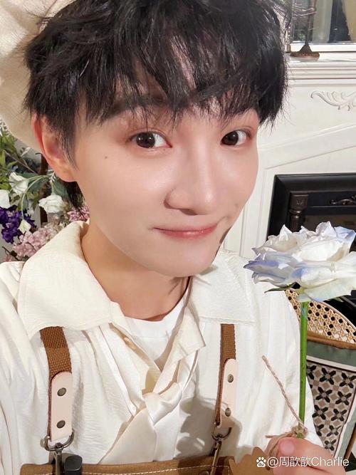 娱乐圈低学历明星：于适周深凭实力圈粉，英雄不问出处